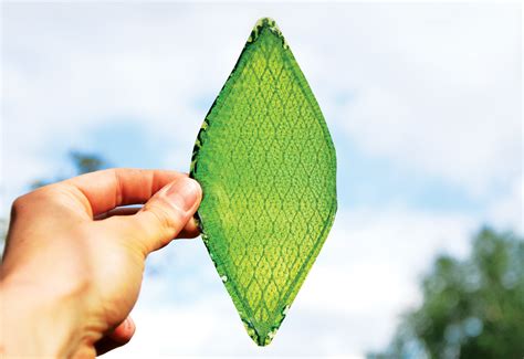fake leaves are too shiny